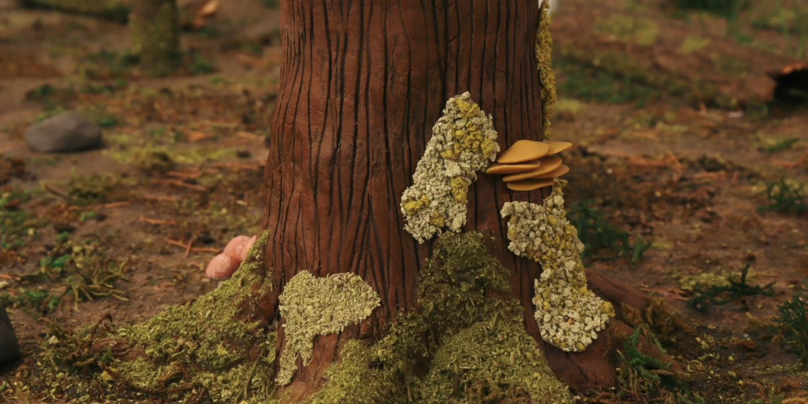 Sapling