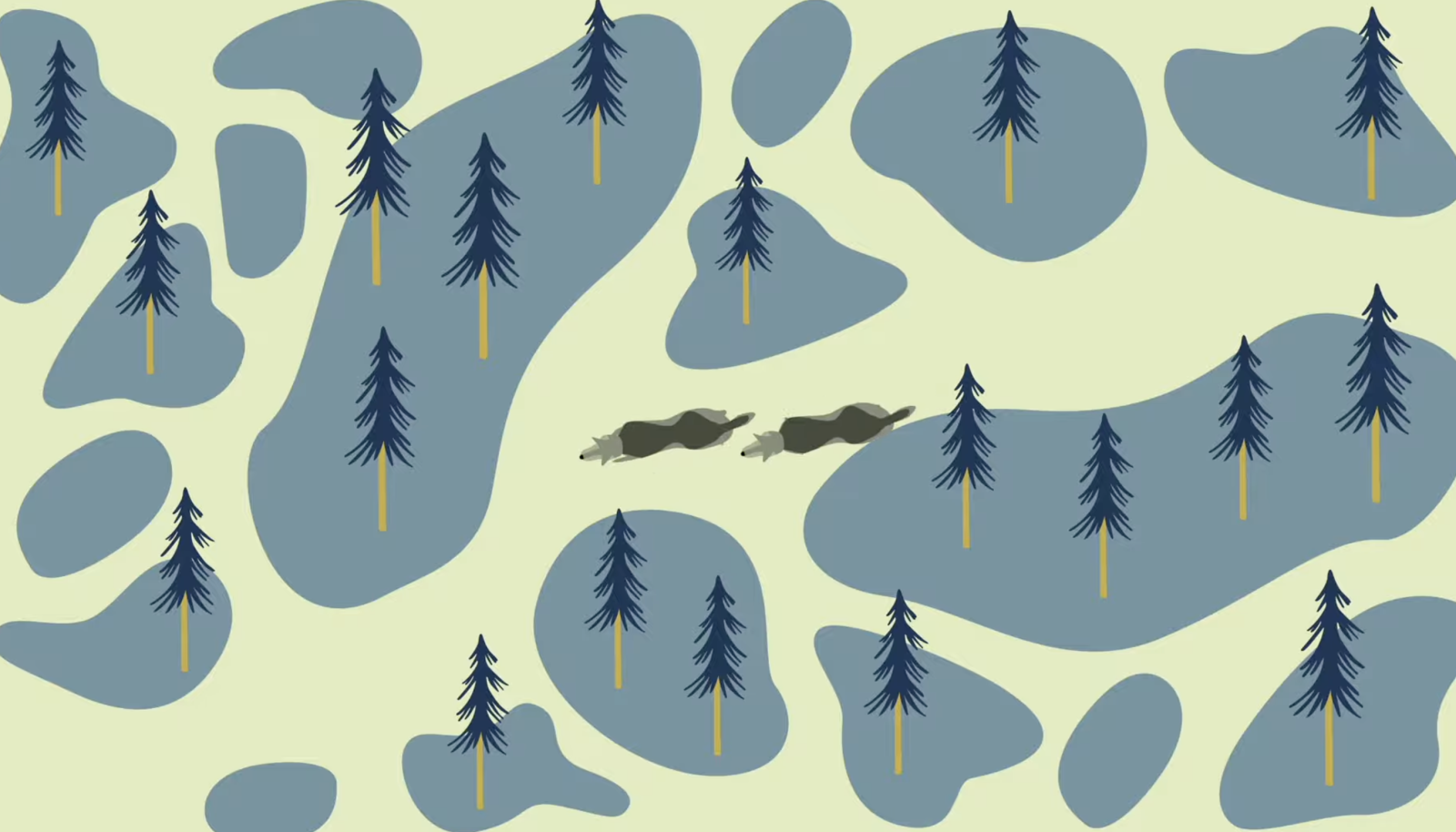 WOLVES IN SCANDINAVIA