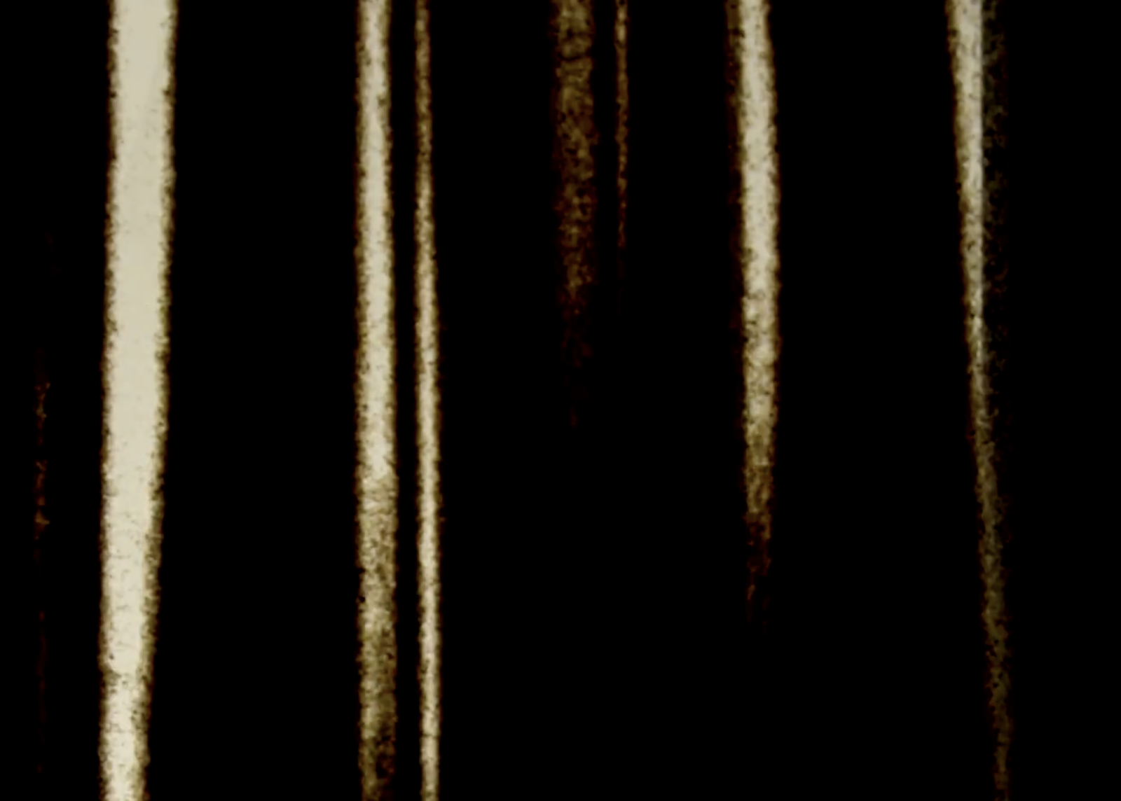 Shadows of ourselves