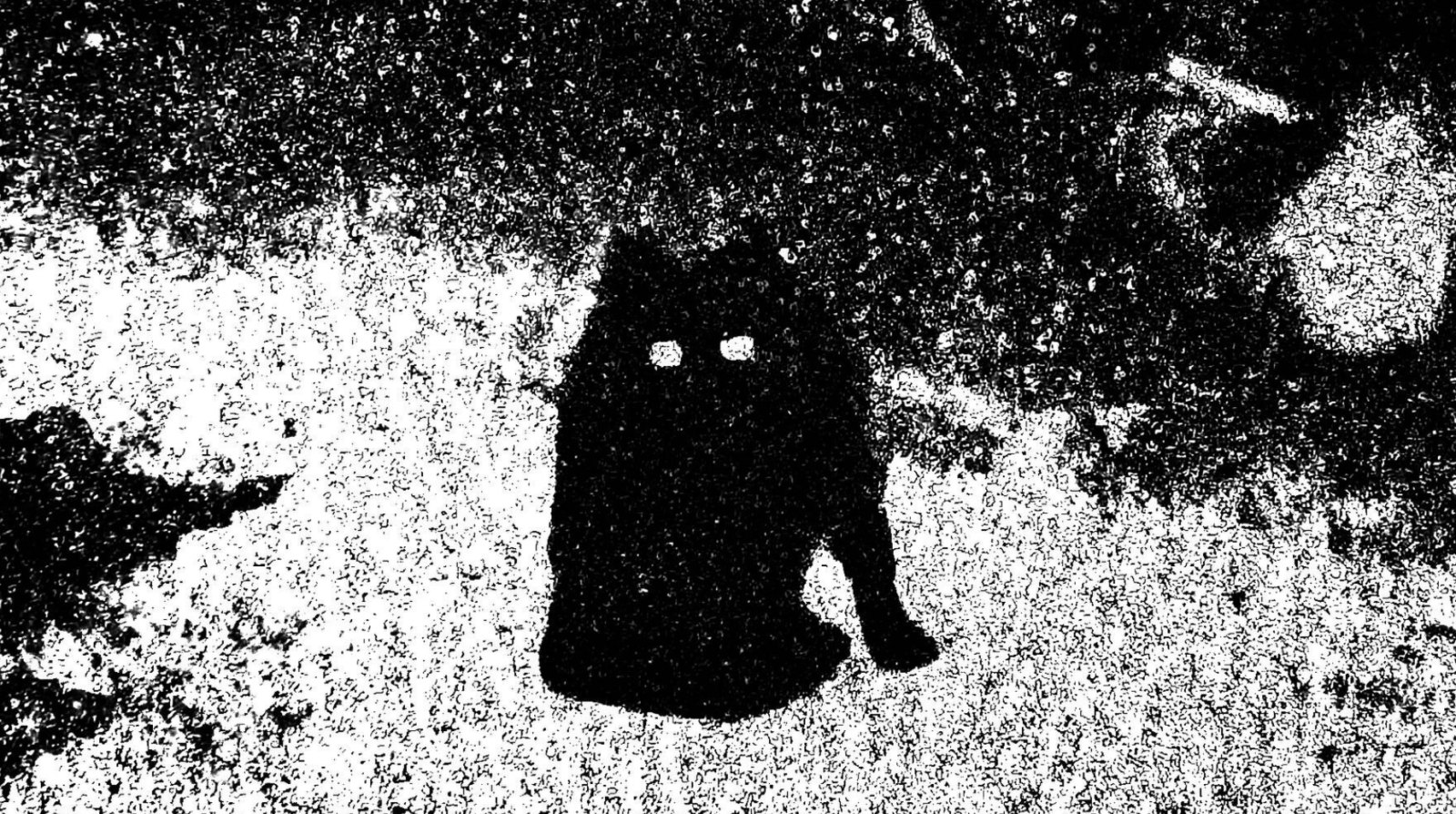 Lower Resolution – Head (feat. Lena Lies)