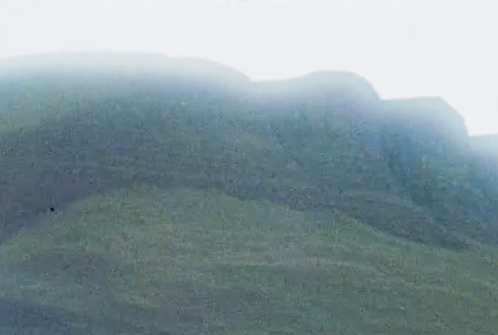 Sligo Water Horse