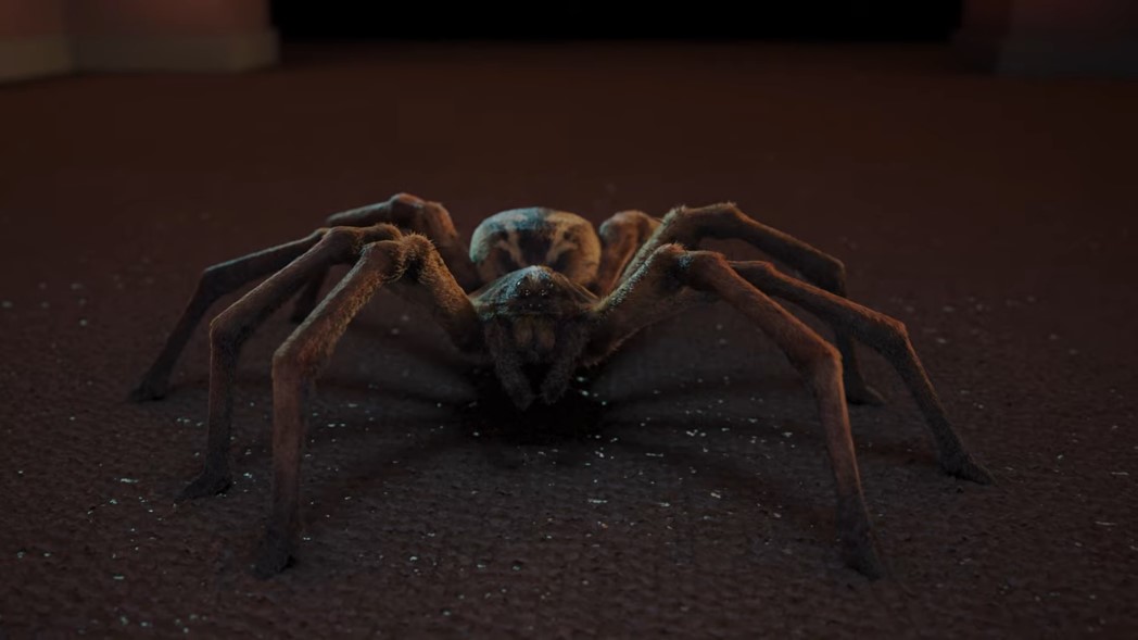 8 Legs