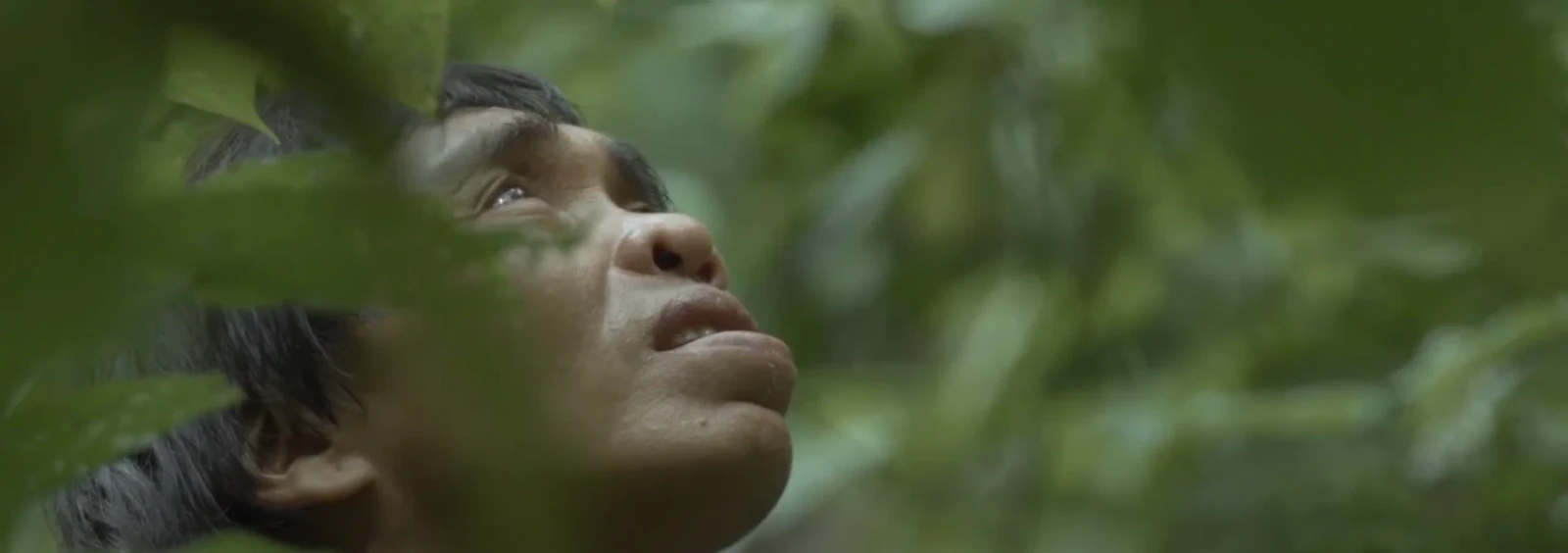 The Falling Sky