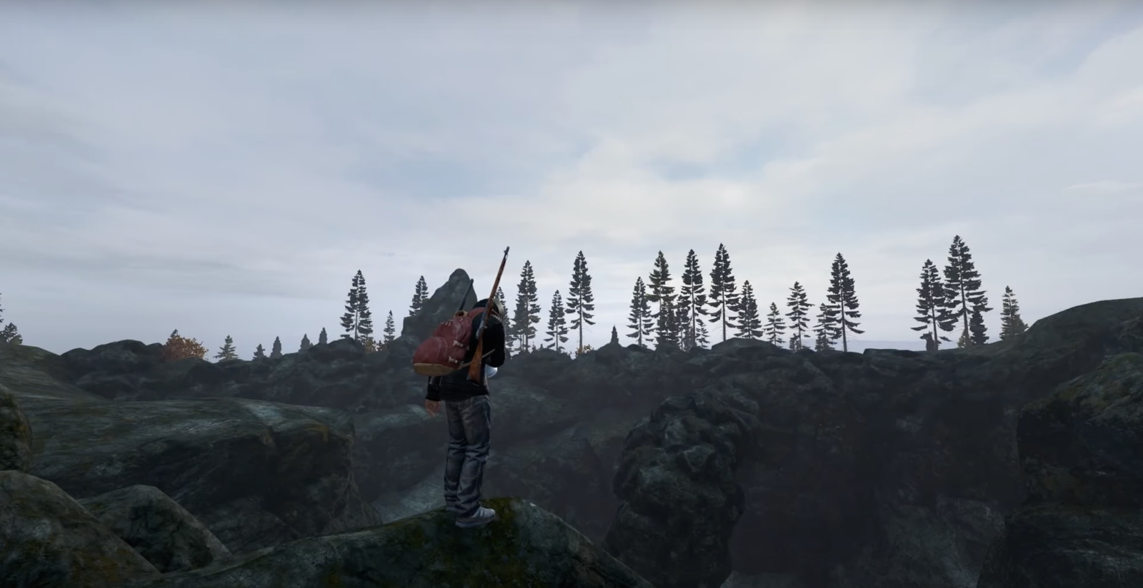 Knit’s Island