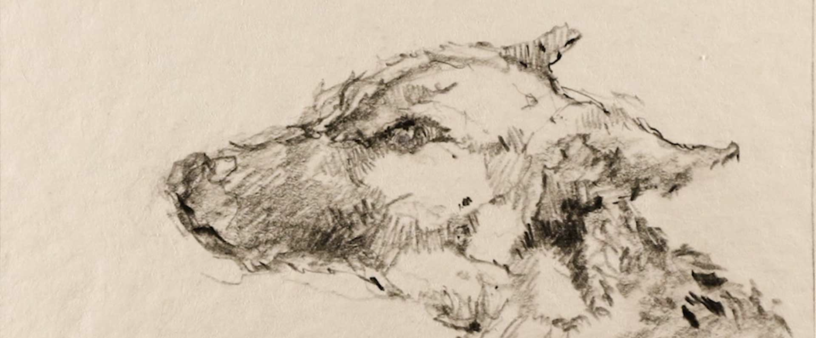 The Dog's Leash