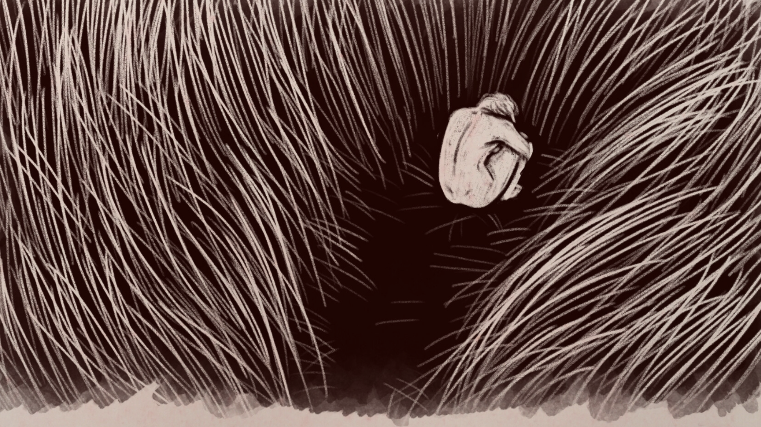 Between Hairs