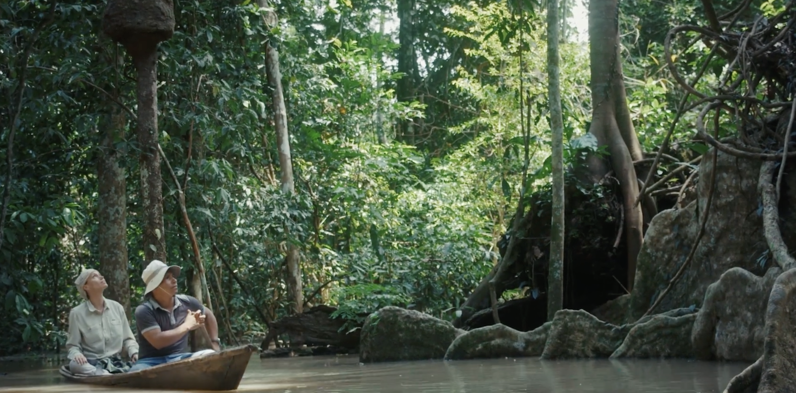 Choose Earth: Wood Wide Web