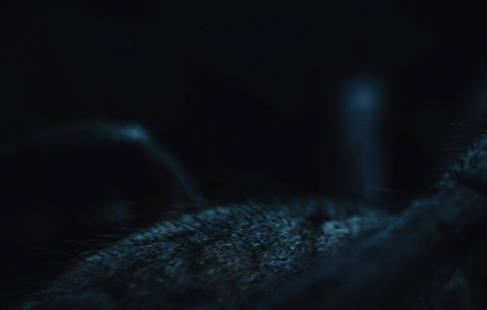 Atom & Void
