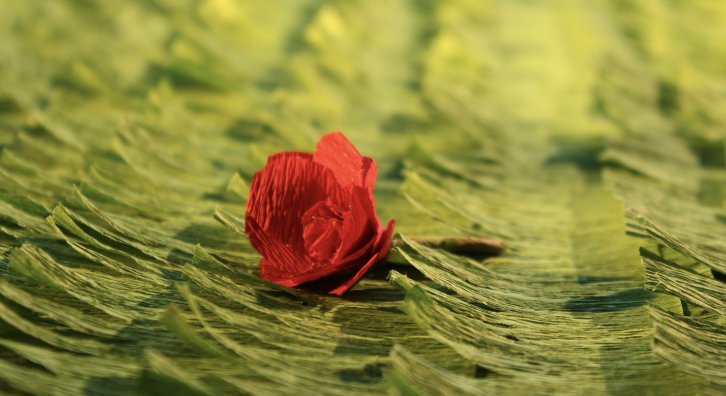 Thorn in the Eye
