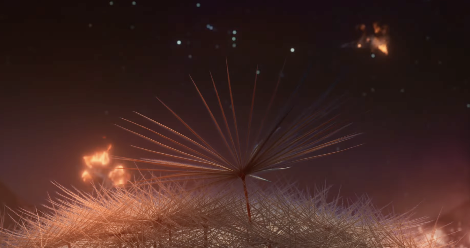 Dandelion's Odyssey