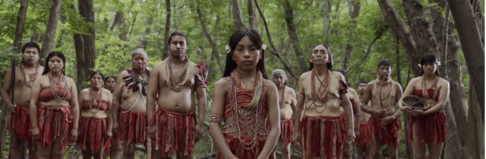 Homo Sapiens?
