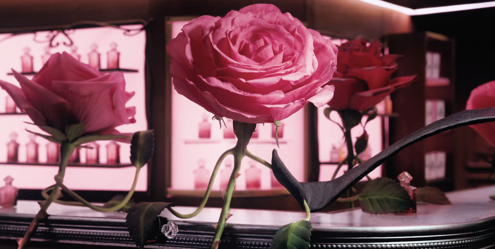 La Petite Robe noire : le Parfum