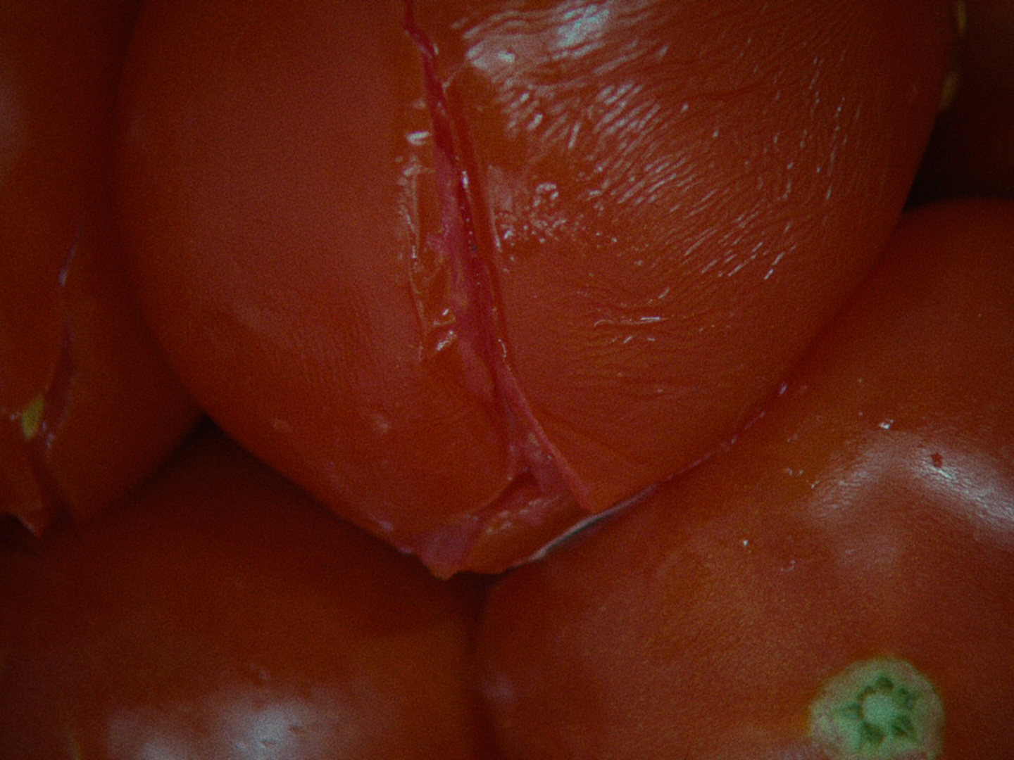 My Tomato Heart