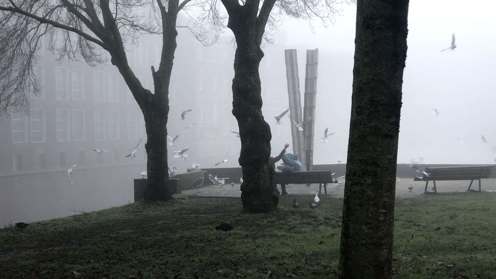 Misty Man