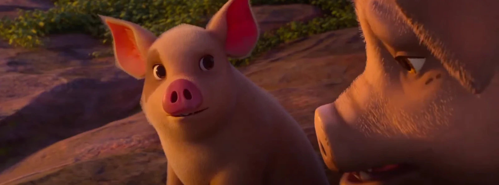 Animal Farm