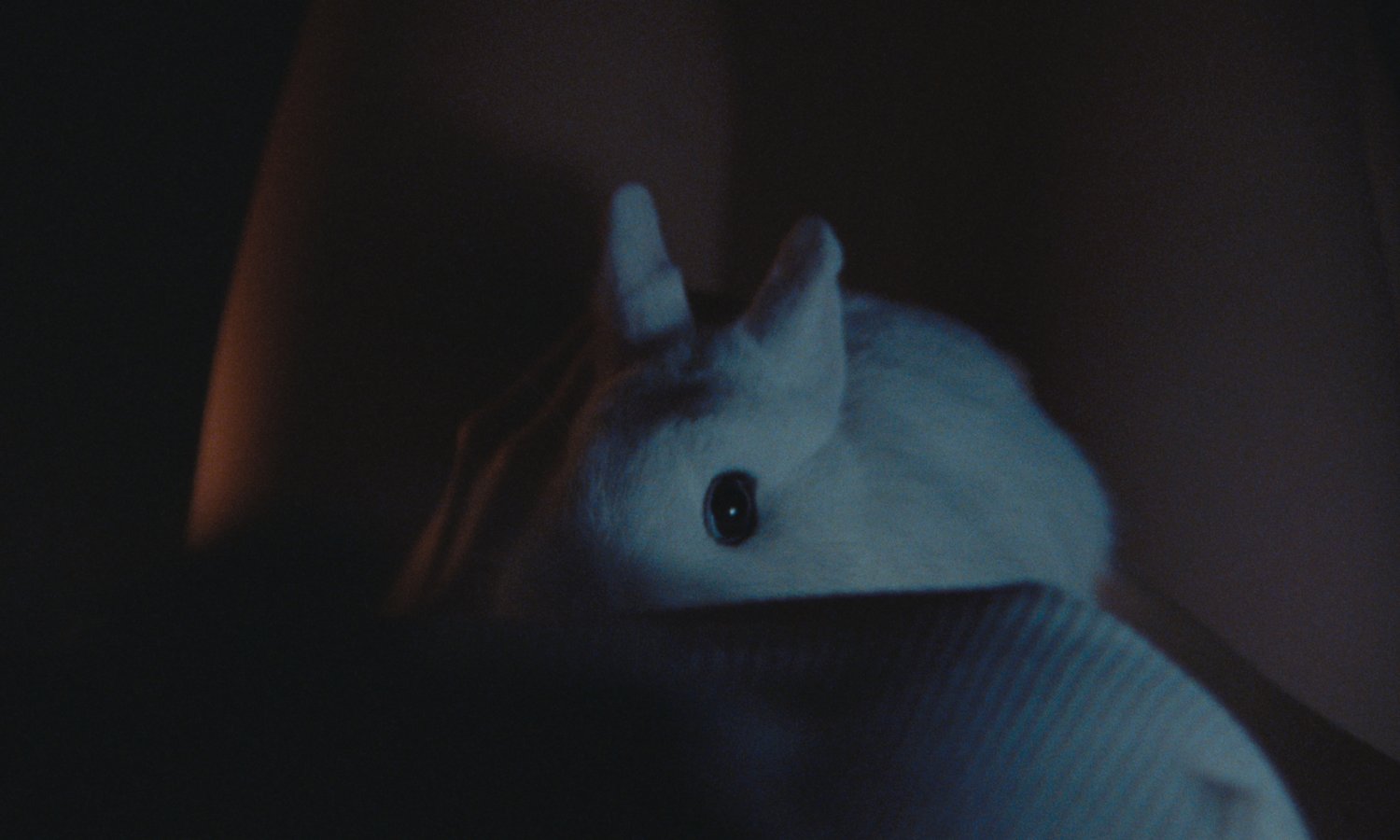 Bunnylovr