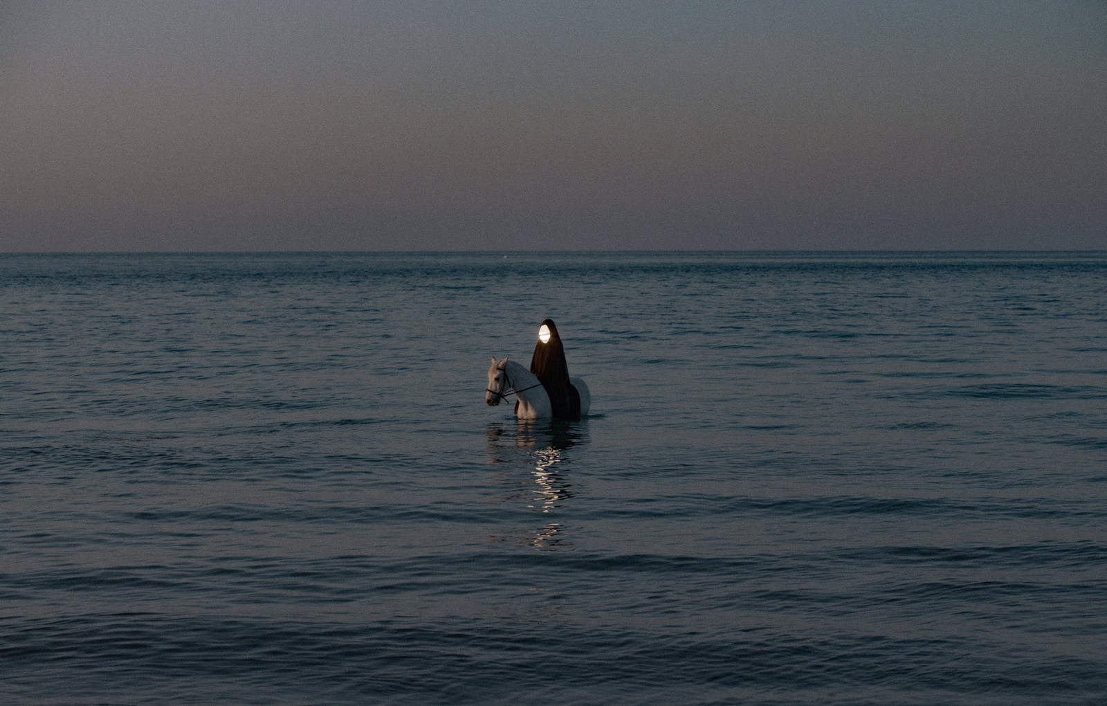 Ask The Plantain