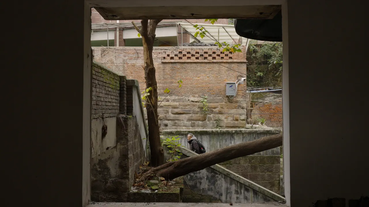 The Other Side of the Mountain