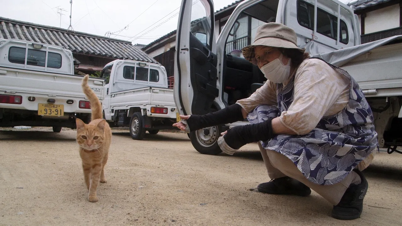 The Cats of Gokogu Shrine