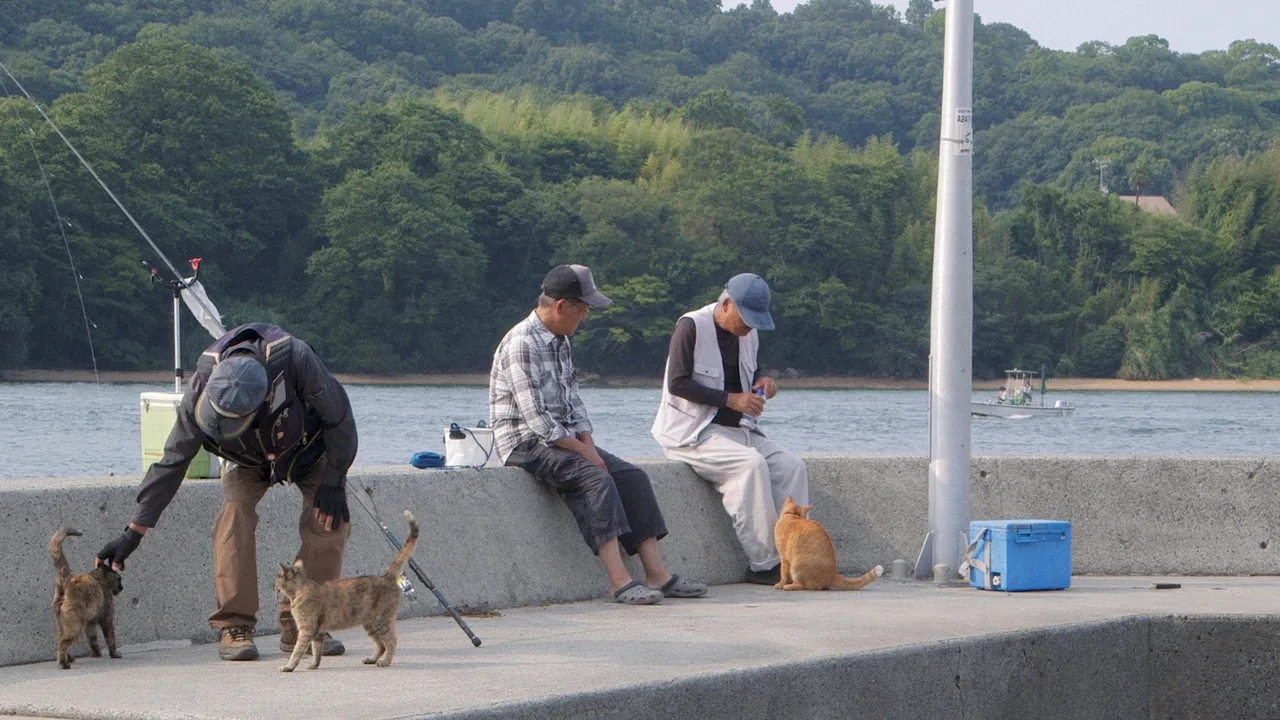 The Cats of Gokogu Shrine