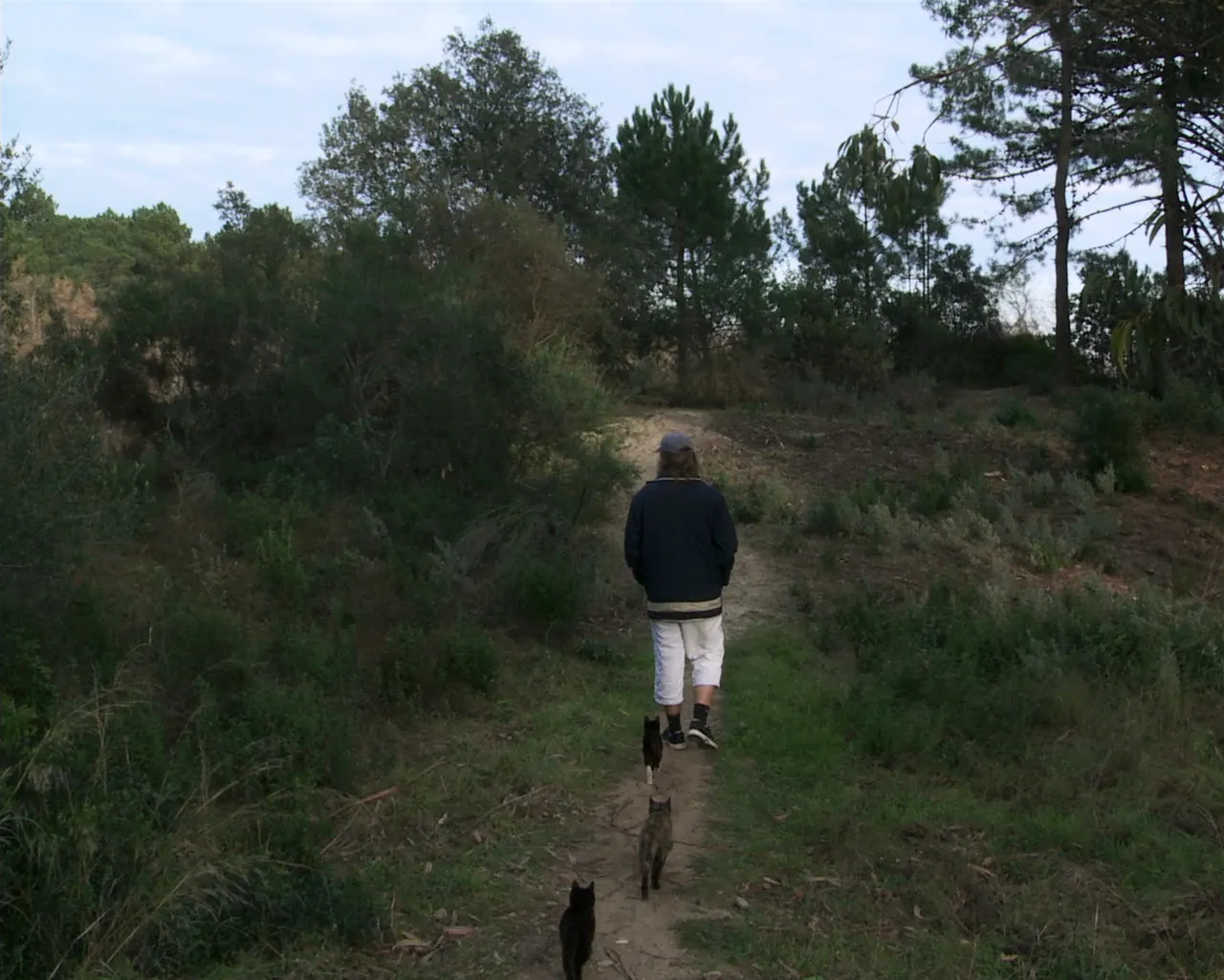 In the Open