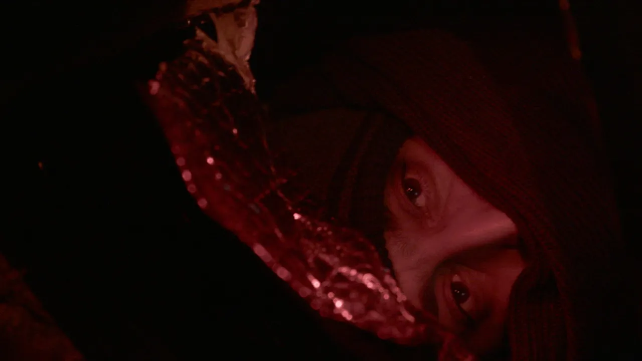 The Guest