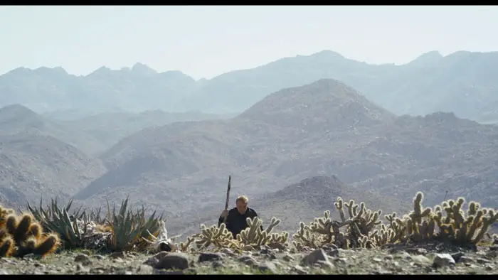 Desert Angel