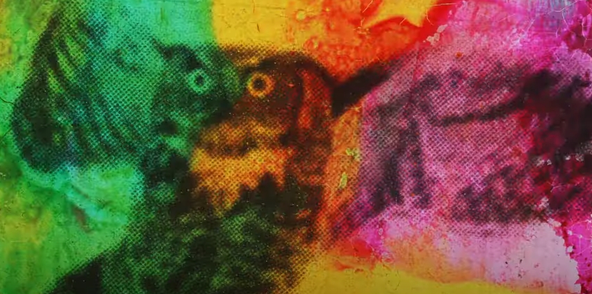 Federal Owl Commission