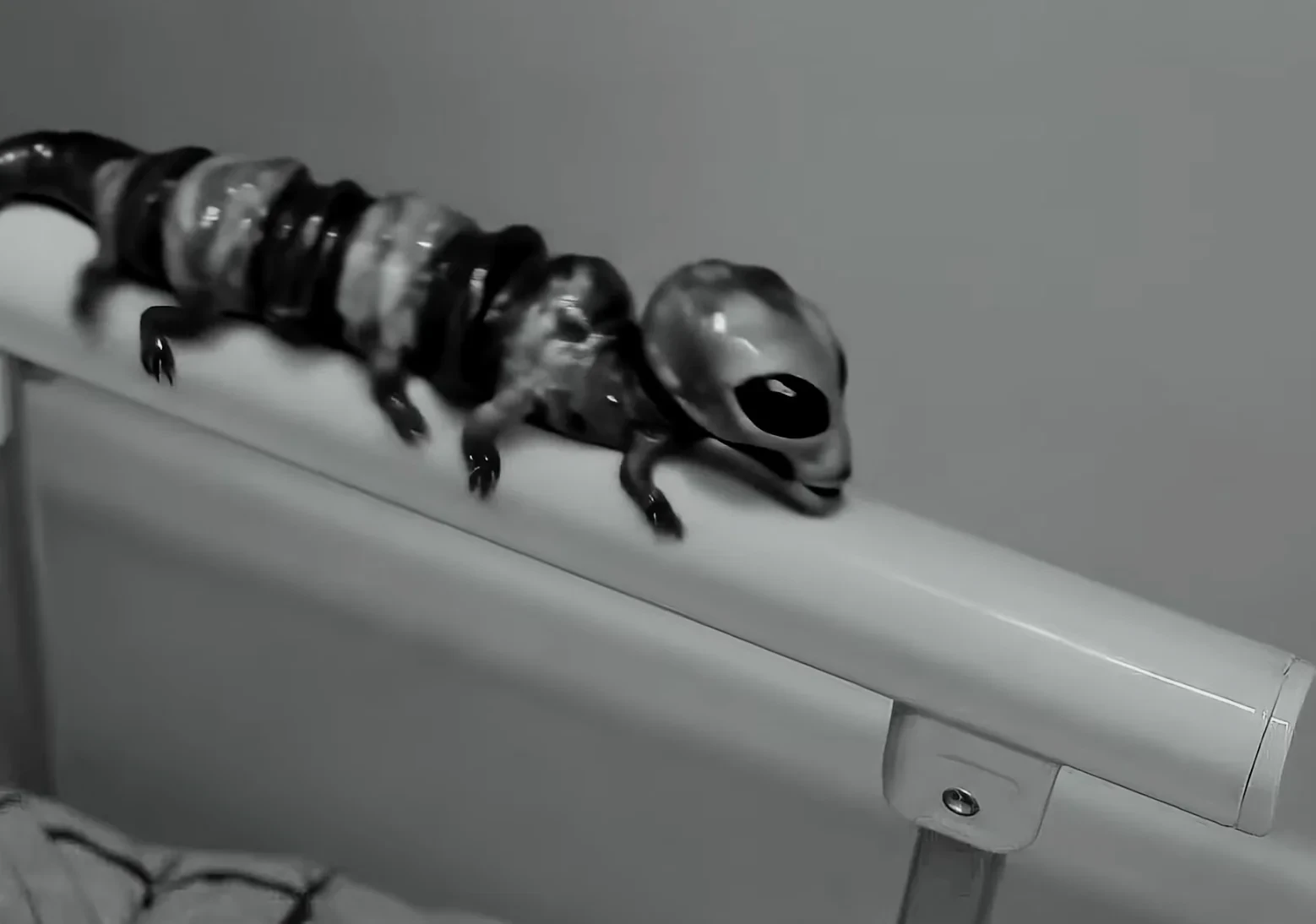 Small talk about the Reptilian