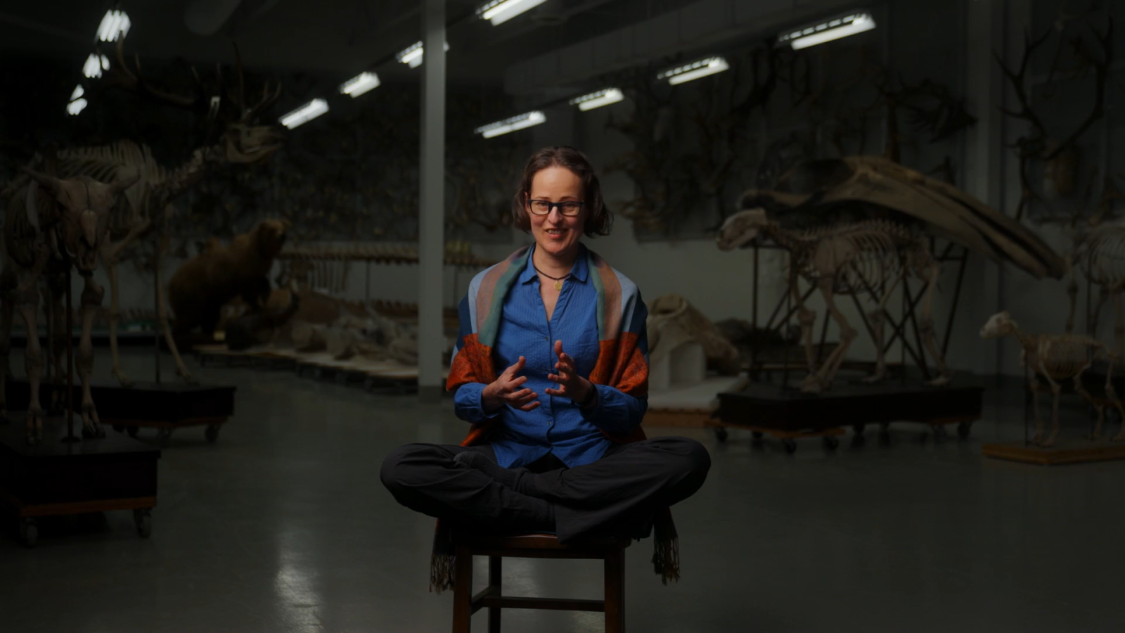 Hunt for the Oldest DNA