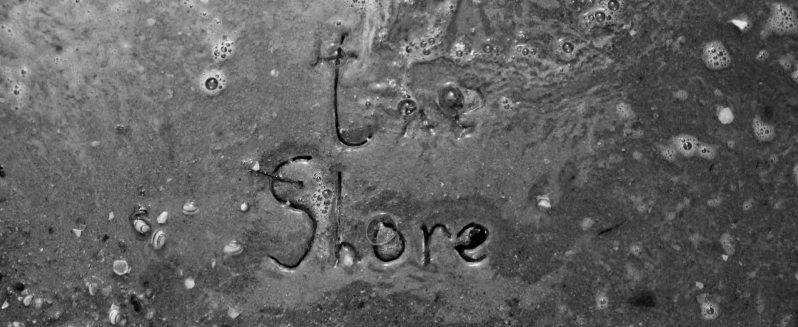 The Shore