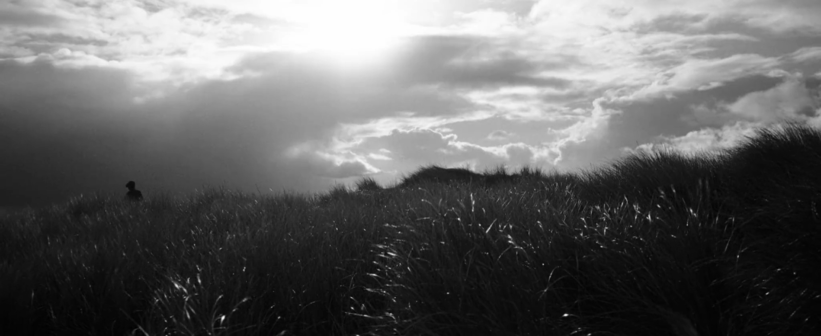 The Shore
