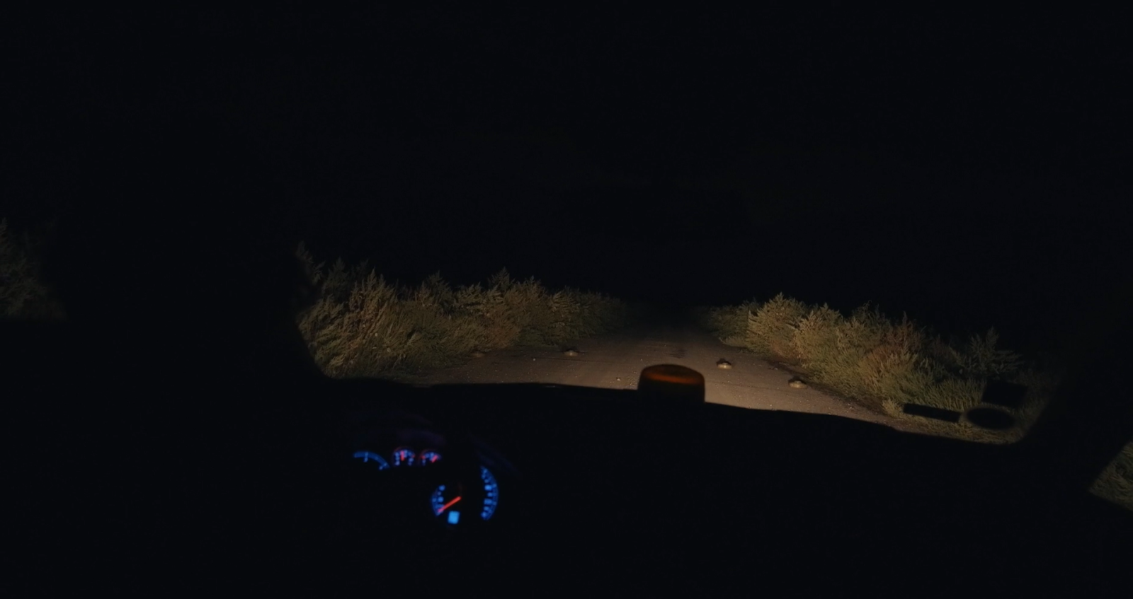 In the Rearview