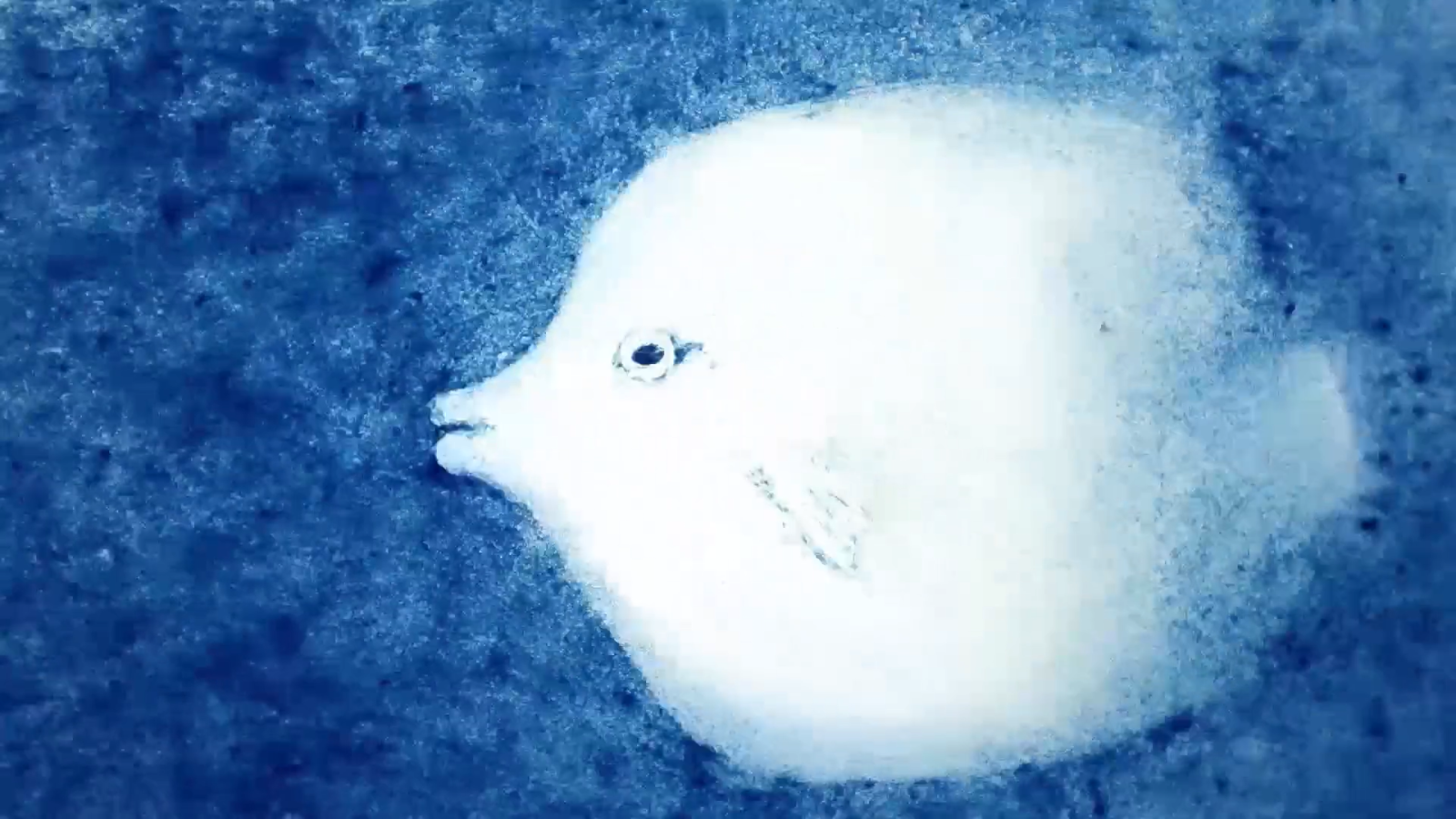 So deep so blue