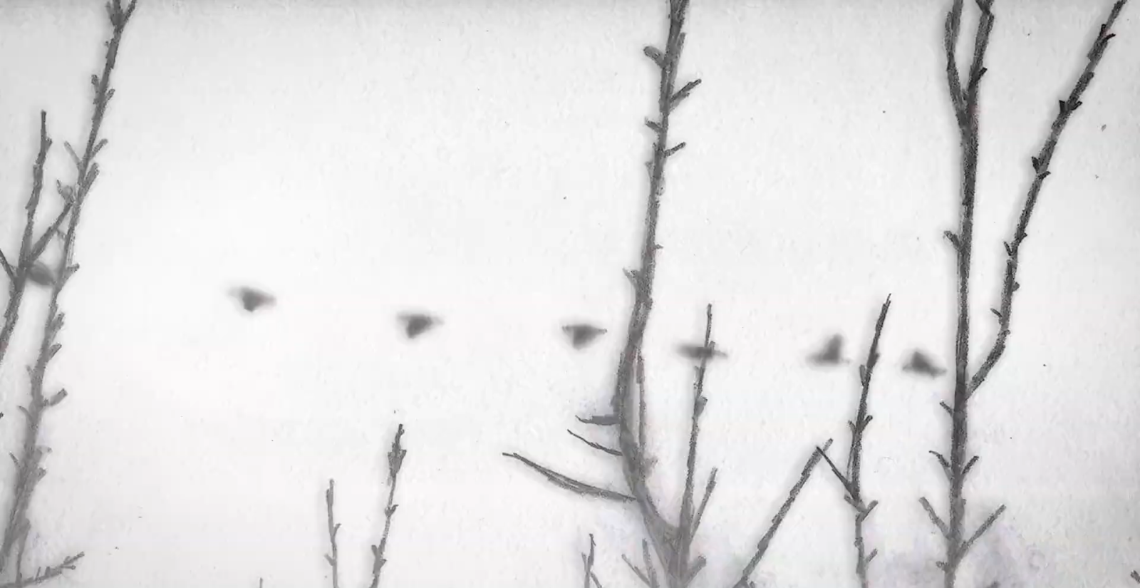 Grey is the Color of Hope