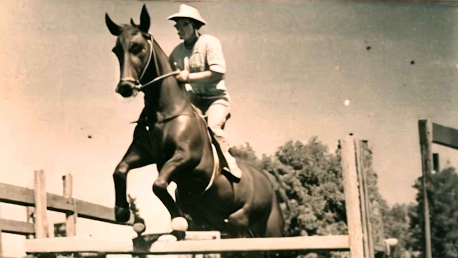The Cavalry