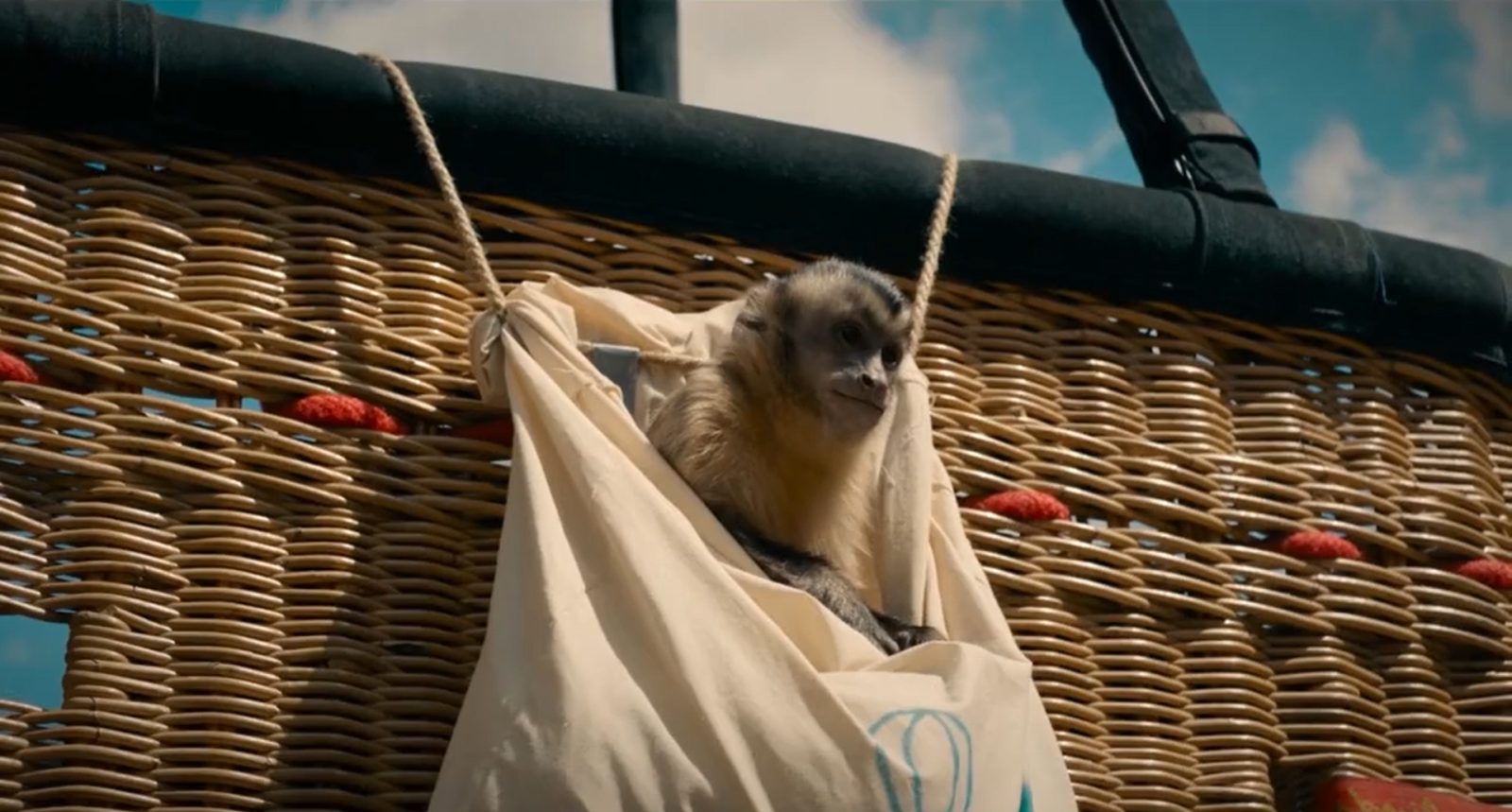 Akiko, the Flying Monkey
