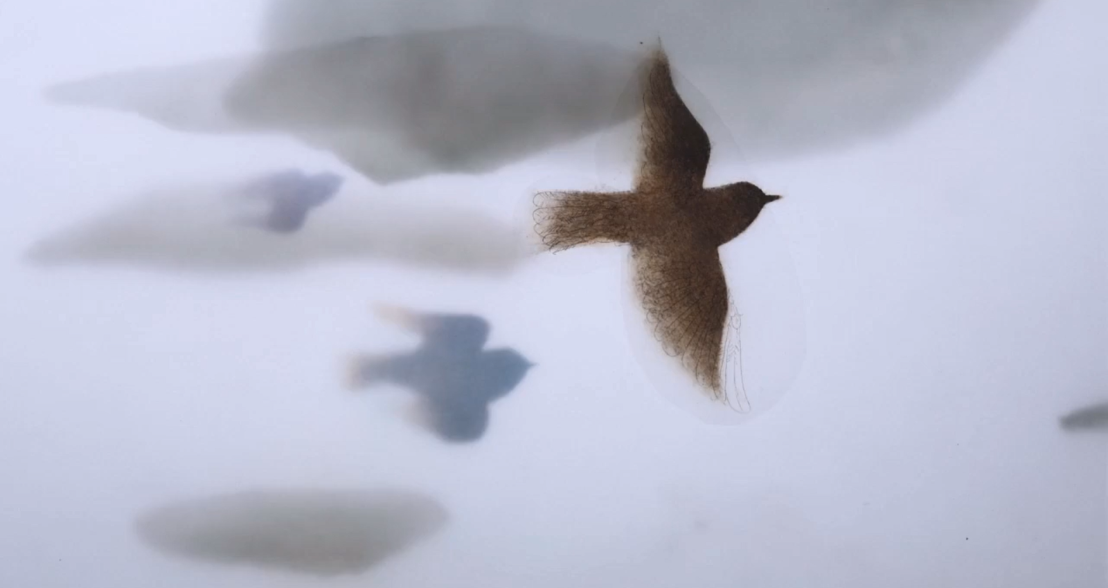 Three Birds
