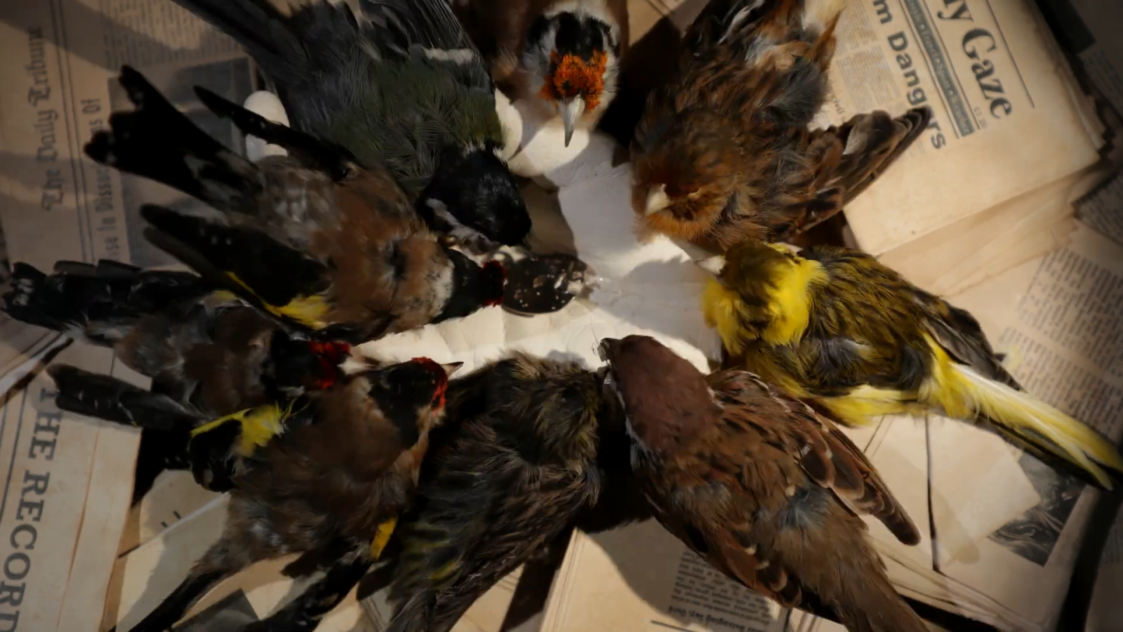 Potter's Mirror