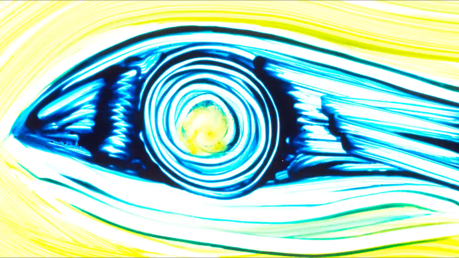 Hooked On Illusions
