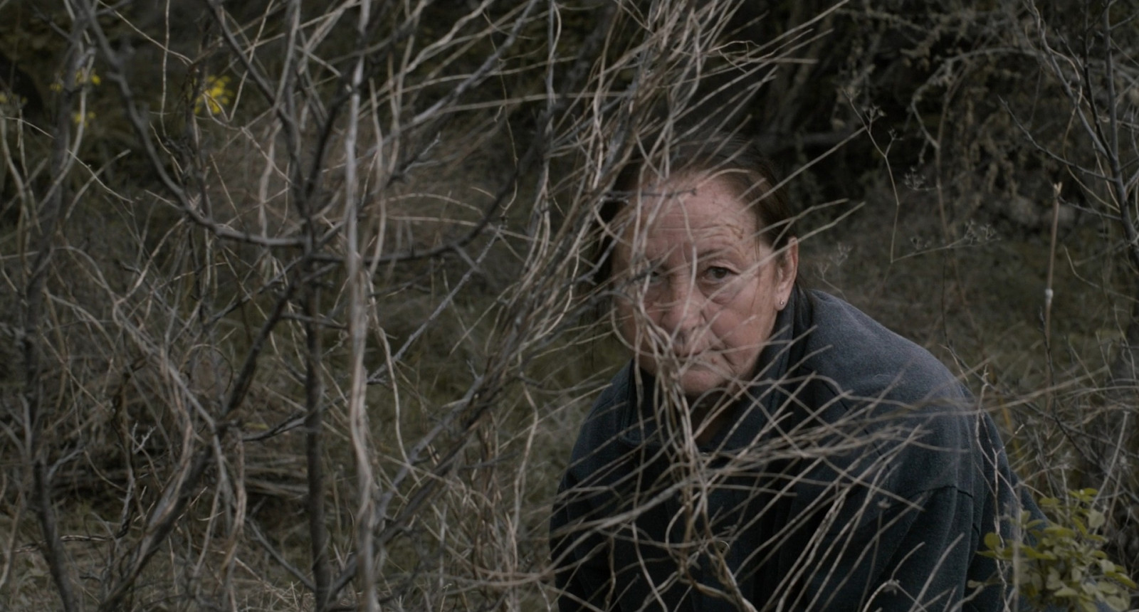 The Undergrowth