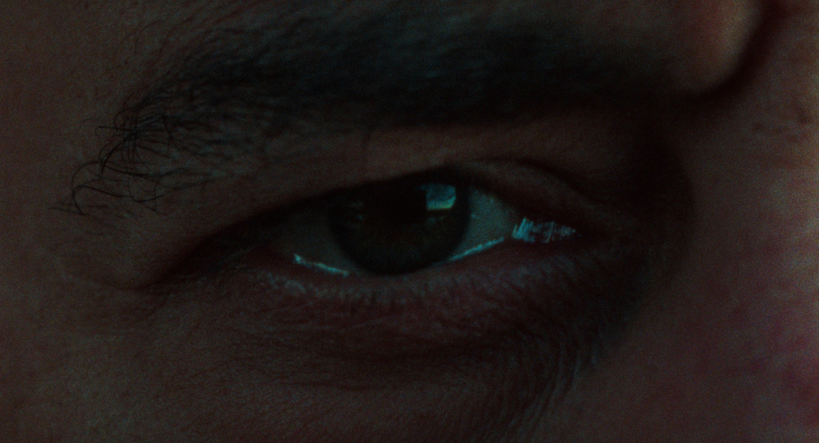 Dostoyevsky