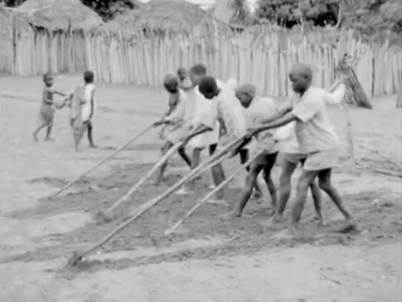 Letter from My Village