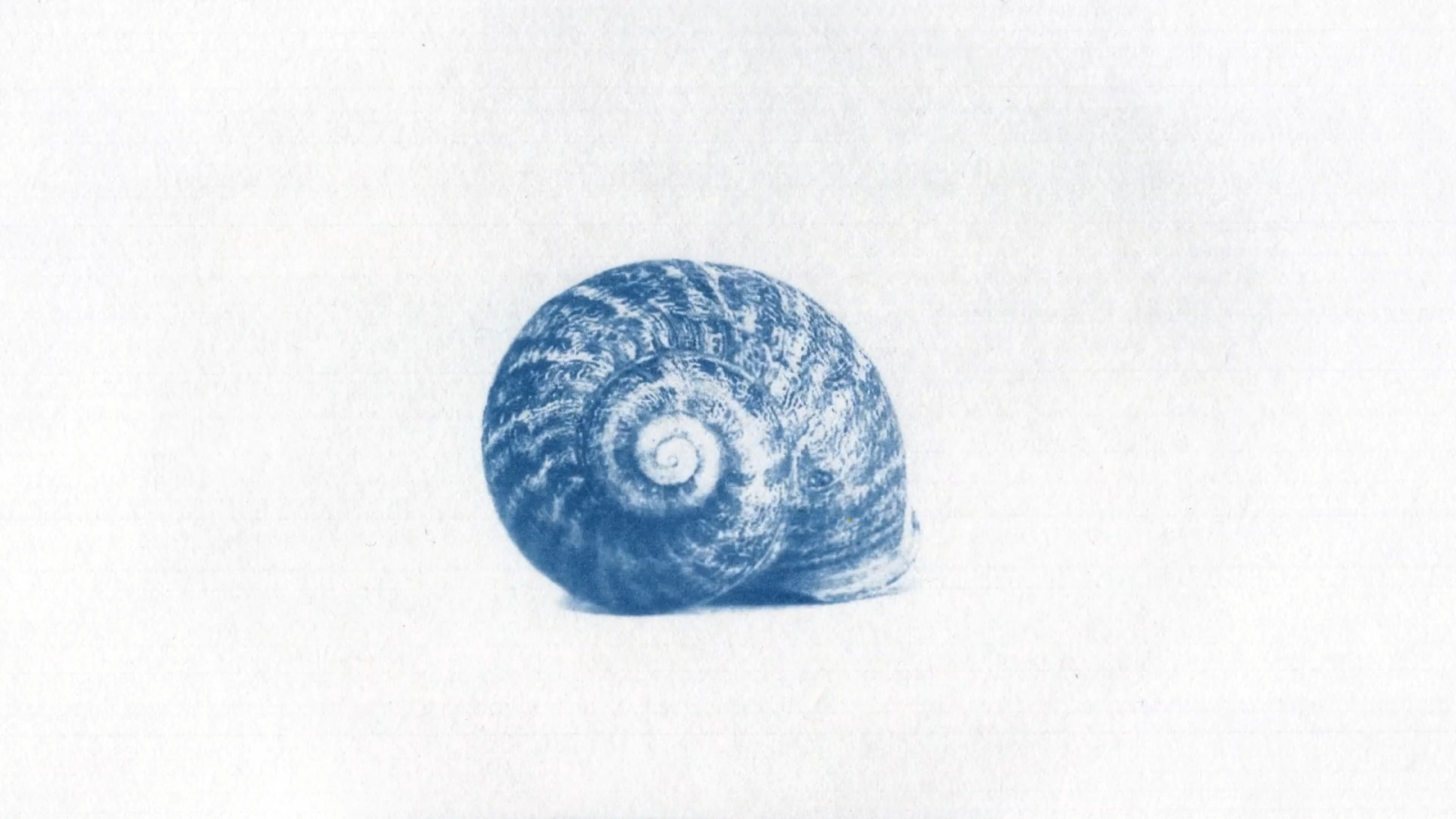 Fiore Mio
