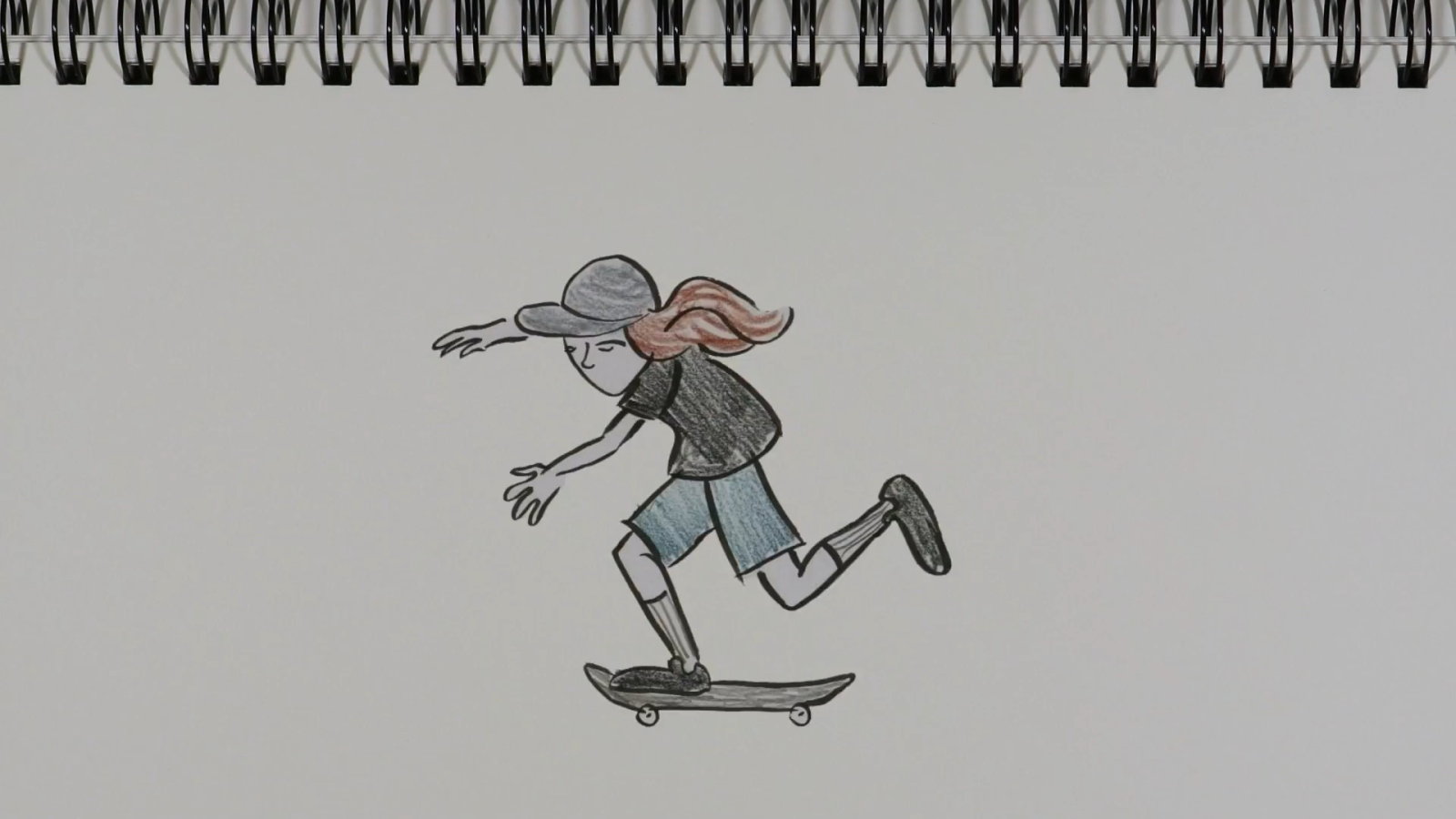 The Skatebook