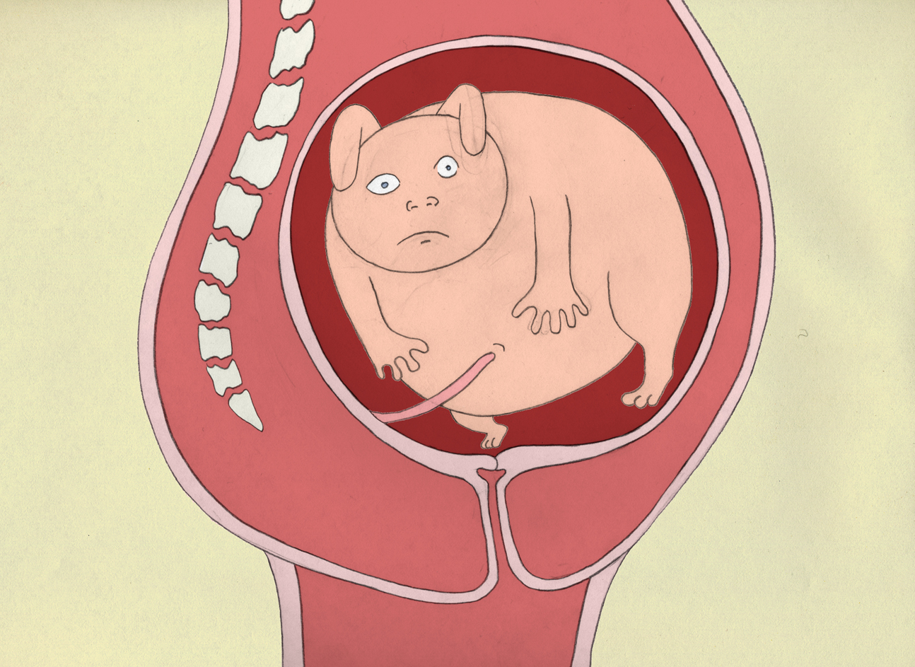 Birth