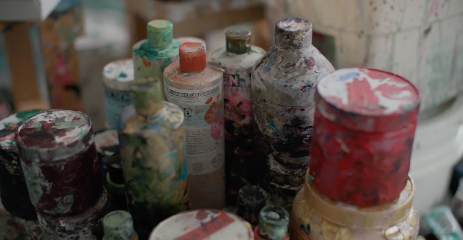 Panoramic View: Portrait of the Artist Francine Tint