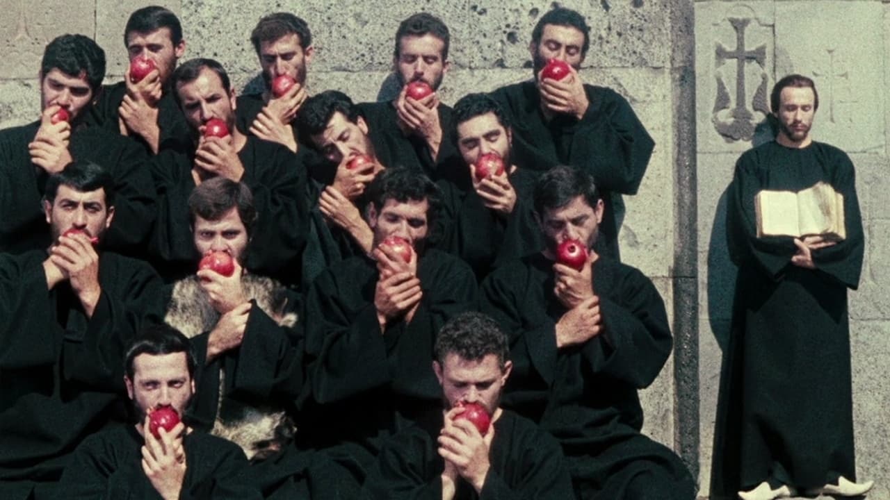 The Color of Pomegranates