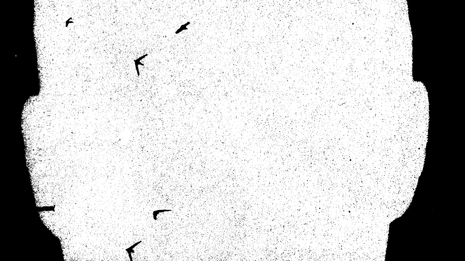 Swifts