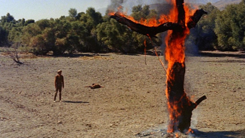 Ride Lonesome